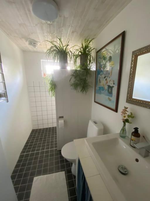 Blomstertantens Hus Trelleborg Extérieur photo